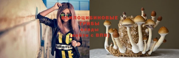 мескалин Мегион