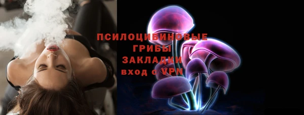 твердый Медвежьегорск