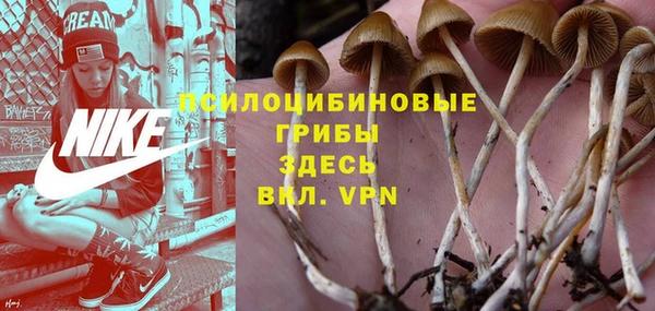 MDMA Premium VHQ Медногорск