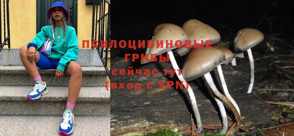 твердый Медвежьегорск