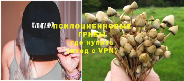 мескалин Мегион