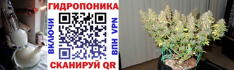 Конопля Bruce Banner  наркошоп  Сольвычегодск 